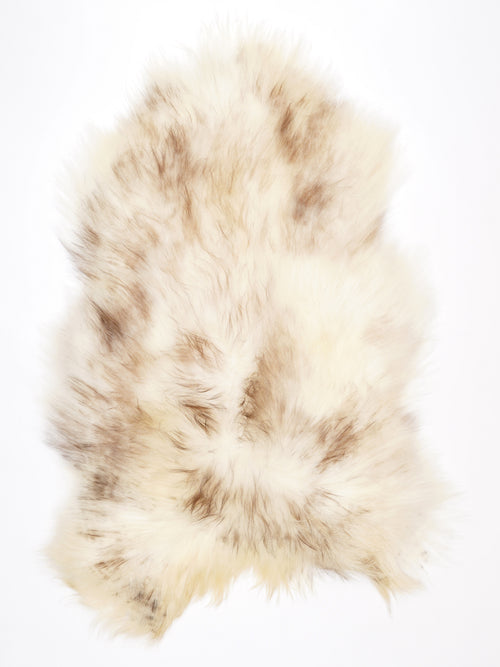NF00003