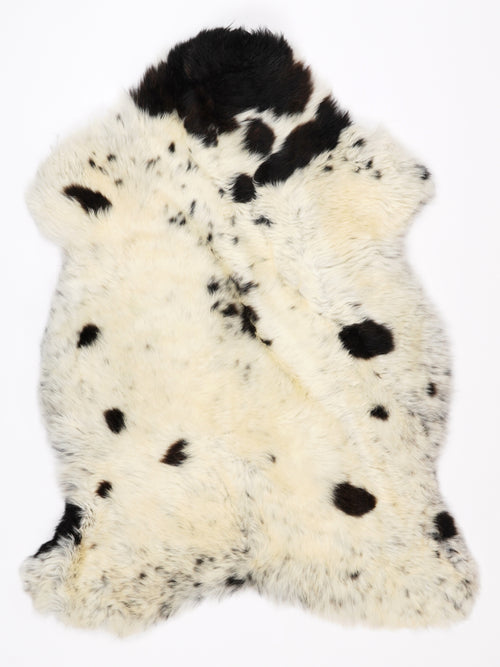 NR00087