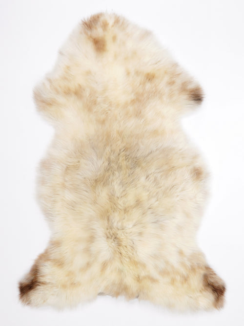 MR00037