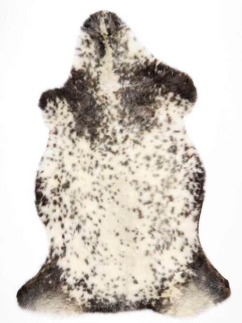 NG00072