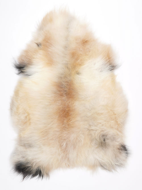 MU00012