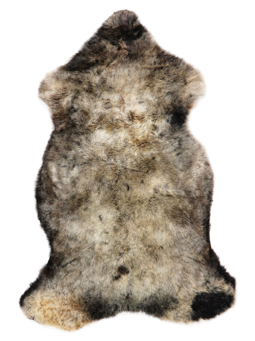 NC00054
