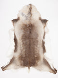OX00032