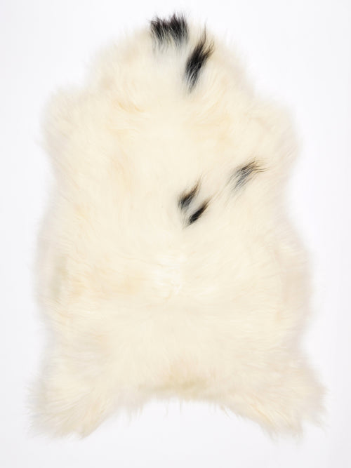 MW00084