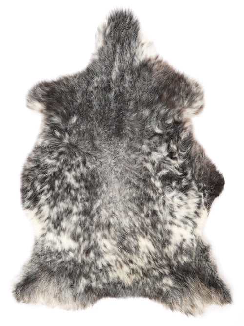 NR00063