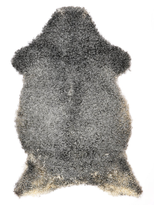 NQ00017
