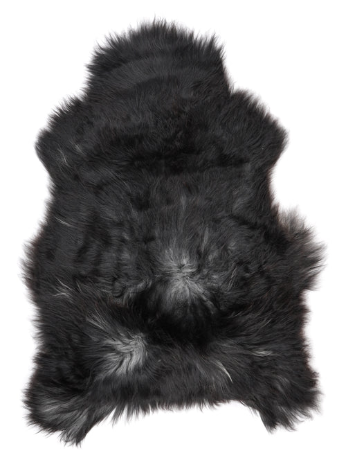 NN00027