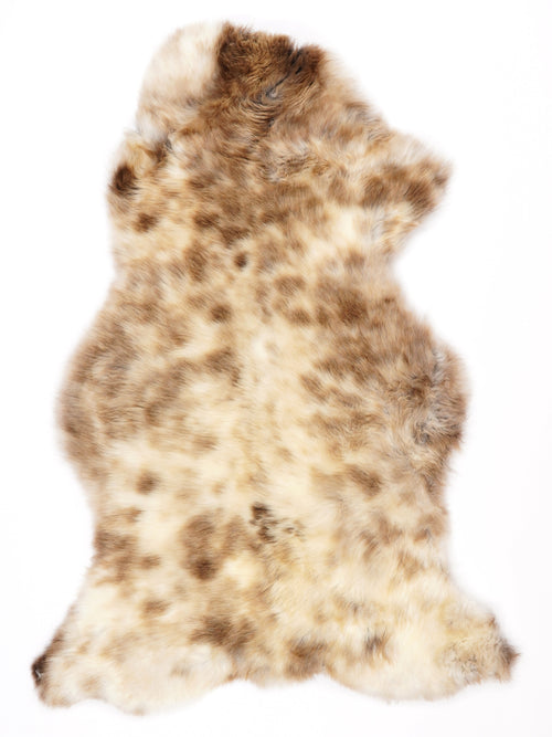 NR00071