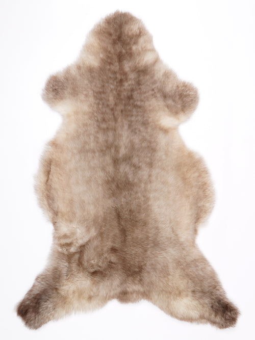 MV00029