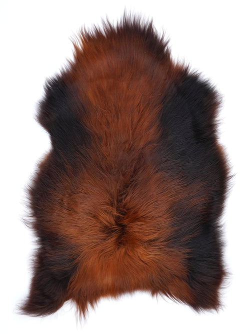 NT00055