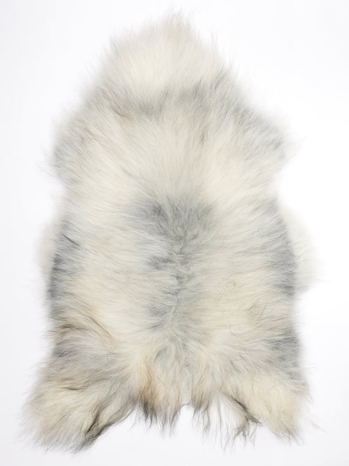MO00008