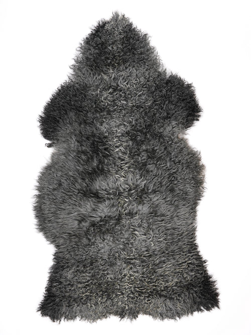 NQ00021