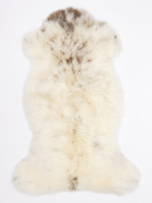 MR00040