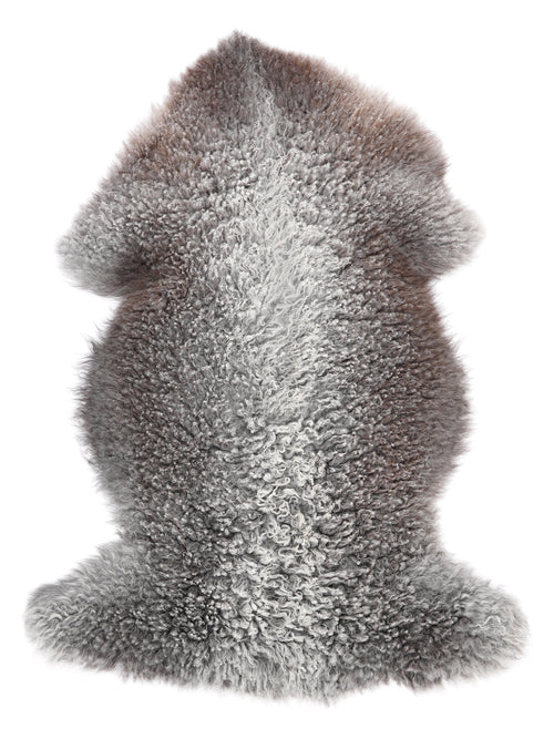 MQ00008