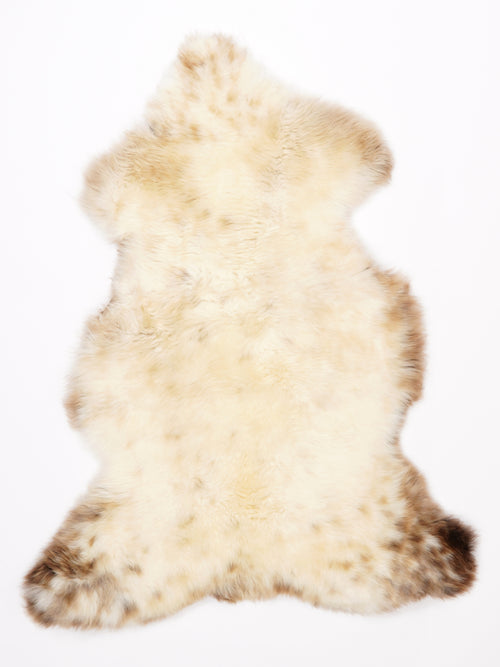 ML00088