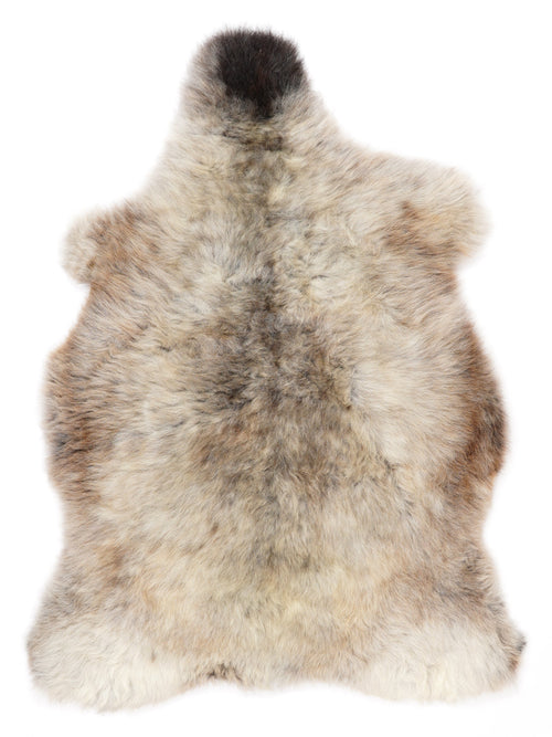 NF00089